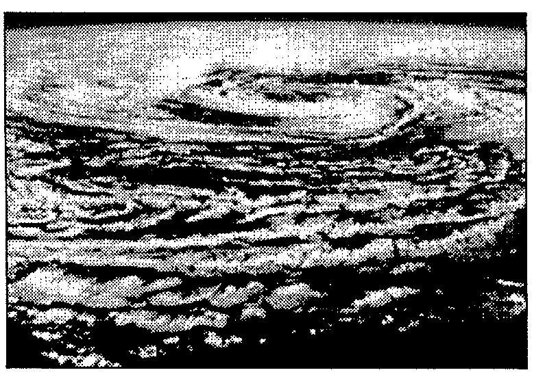 82. The photograph below shows a spiral pattern of clouds in the Earth's atmosphere. The spiral is hundreds of miles across. Which type of weather does this photograph show?