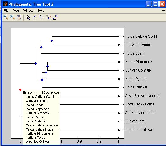 International Journal of Computer Applications (975 8887) 3.15 Final phylogenetic tree for all varieties 4.