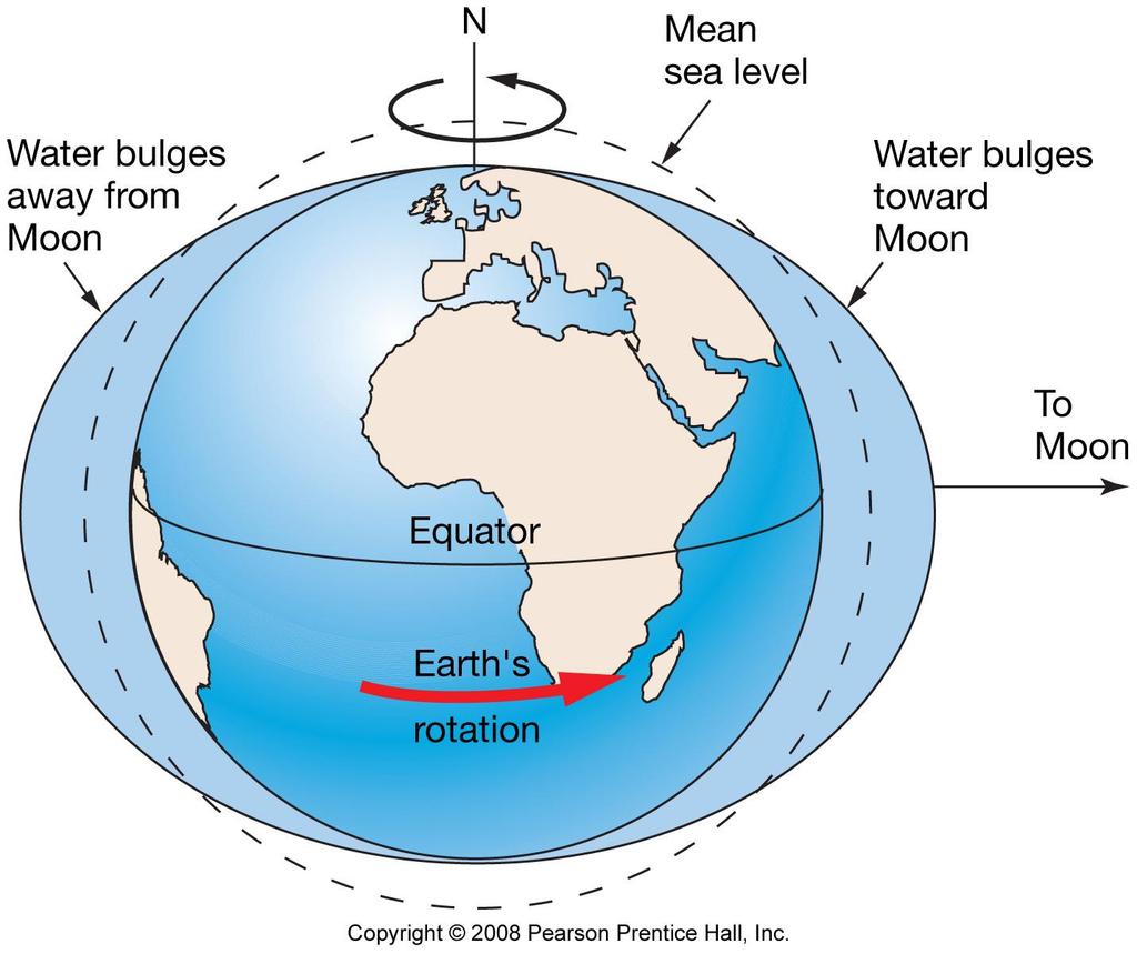 Tidal bulges (lunar): Ideal Earth covered by ocean One bulge faces Moon Other bulge on opposite side Tidal cycle results from earth rotating underneath these bulges two high tides and