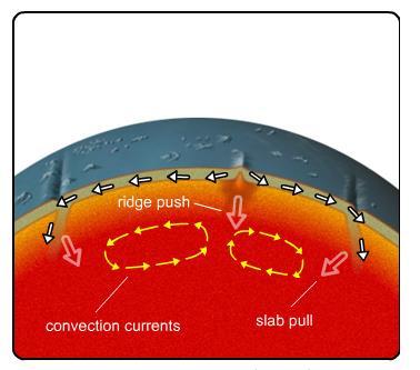 f. Two forces are the cause of plate motion: and g. Hot Spots: when volcanic activity occurs within a plate. Hot, molten material rises from the mantle, melting the crust above it to form volcanoes.