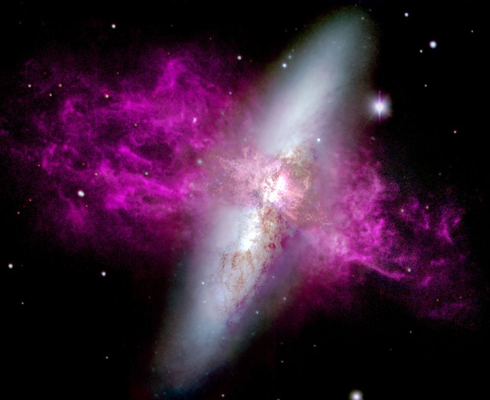 M82 contains a circumnuclear starburst