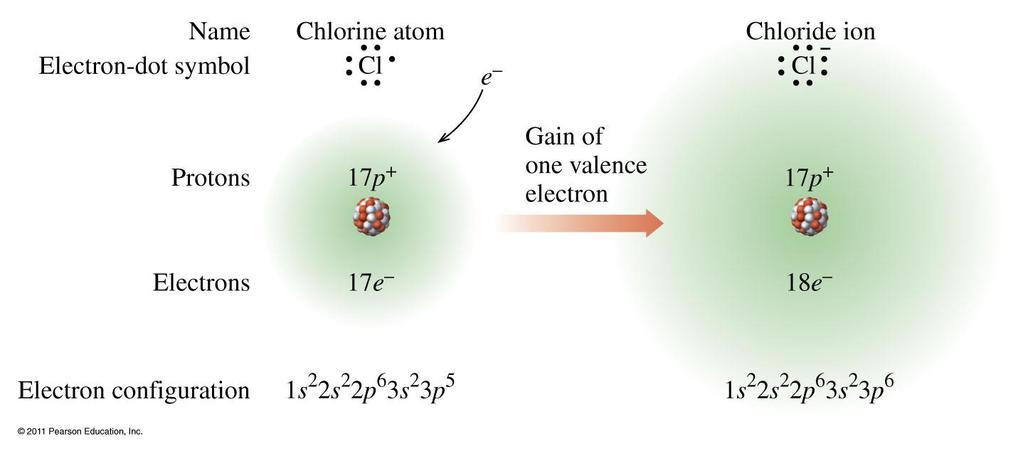 Formation of Chloride Ion, Cl - Chlorine achieves an