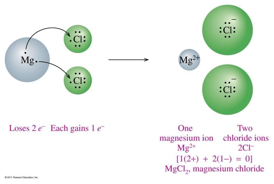 Charge Balance In MgCl 2 In MgCl 2 a Mg atom loses two valence electrons two Cl atoms
