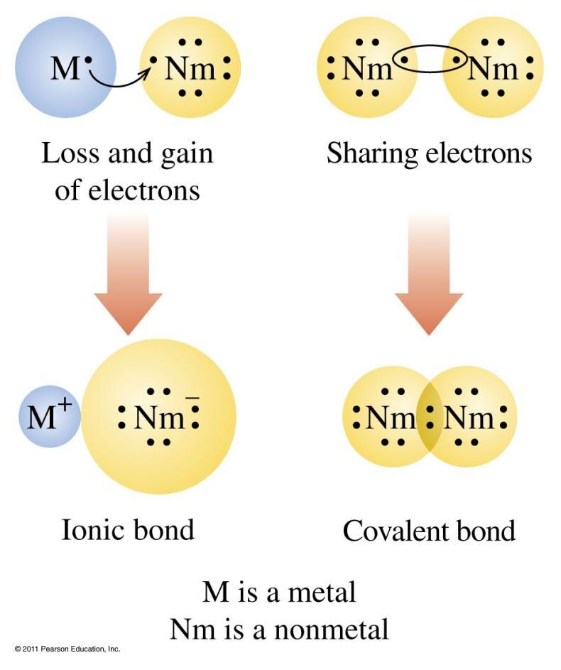 Ionic and Covalent Bonds Ionic bonds involve loss of electrons by a metal