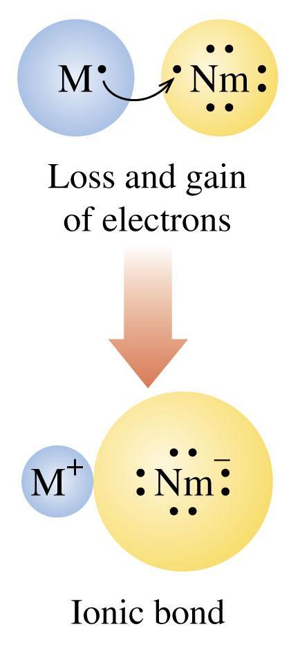 Metals Form Positive Ions Metals form positive ions (CATIONS) by a loss of their valence electrons with the electron configuration of their