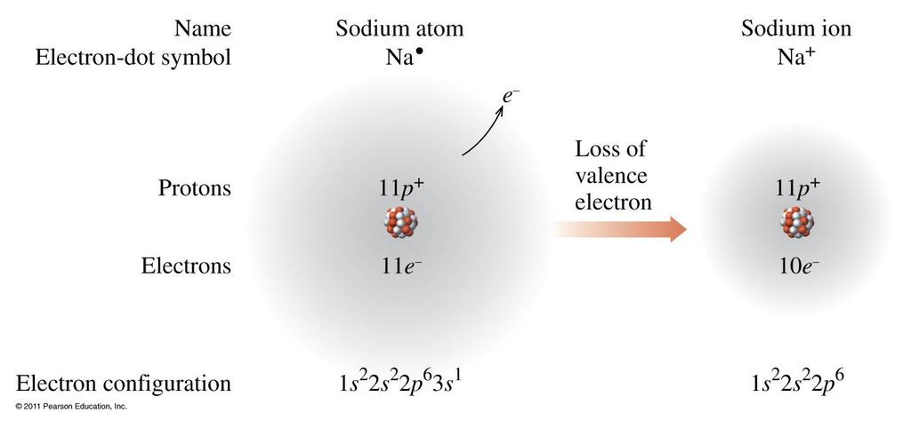 Formation of a Sodium Ion, Na + Sodium