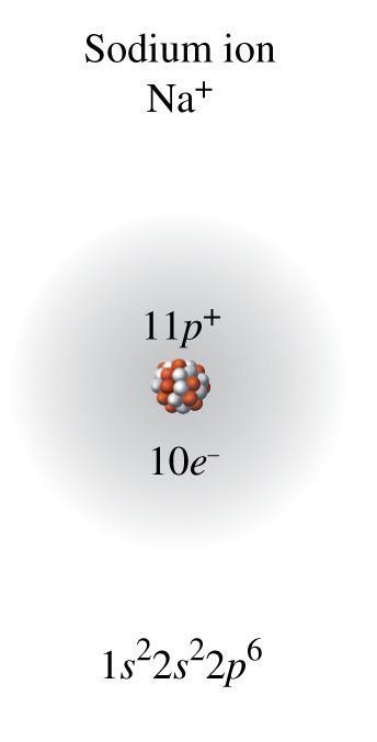 Charge of Sodium Ion, Na + With the loss of its valence electron, the
