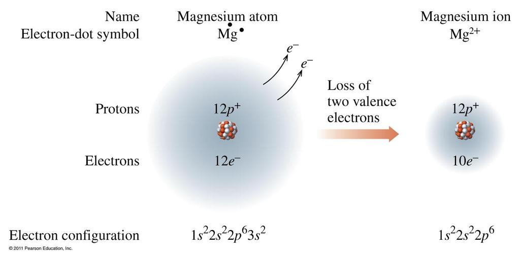 Formation of Mg 2+ Magnesium achieves an
