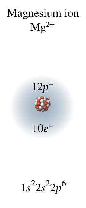 Charge of Magnesium Ion, Mg 2+ With the loss of two valence electrons, magnesium