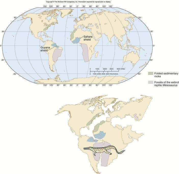 Figure 02_04 Plate Tectonics Plate tectonics explains the HOW behind Wegner s s continental drift theory The main features of plate tectonics are: The Earth s s surface is covered by a series of