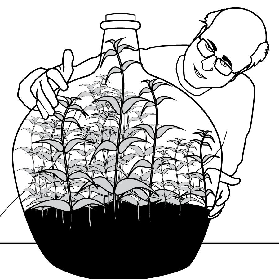 STO-144 Plants in a Bottle: Photosynthesis and Respiration My grandfather has a large bottle filled with water, soil, and plants.