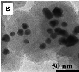 Figures 8(a) and (b) show the surface morphology of the films in 2 and 3 dimensions. One can see easily the silver nanoparticles of size 40 nm protruding out of the surface.