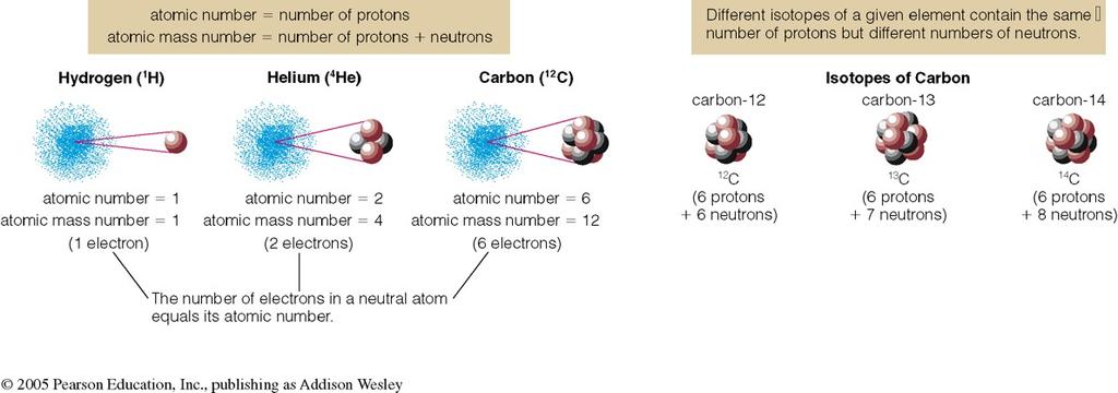Atomic Terminology Atomic Number = # of protons in