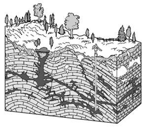 Which kind of rock is formed by the processes shown? sedimentary 38.