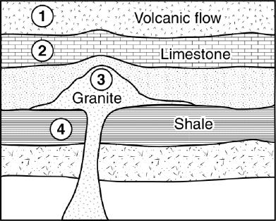 What caused X and Y to be folded? What type of force? Compression (collision of plates) Why do volcanoes and ridges form where the seafloor is spreading apart?