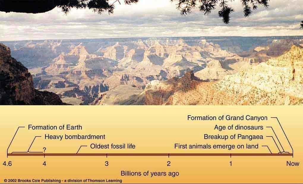 History of Geological Activity Surface formations visible