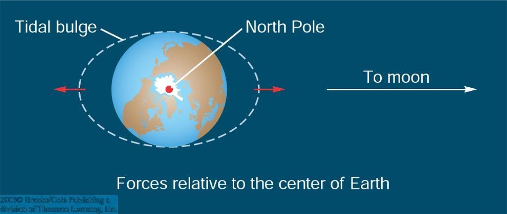 The Tides Caused by the Moon s differential gravitational attraction of the water on the Earth Forces are balanced at the center of the Earth Excess