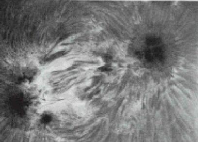 Early Clues of Sunspot Magnetic Field Sunspot group seen in Hα (Hydrogen