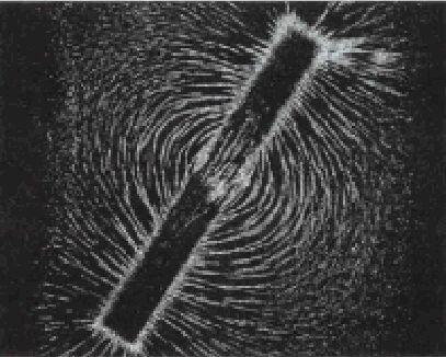 line of hydrogen resemble the magnetic field lines surrounding a bar magnet.
