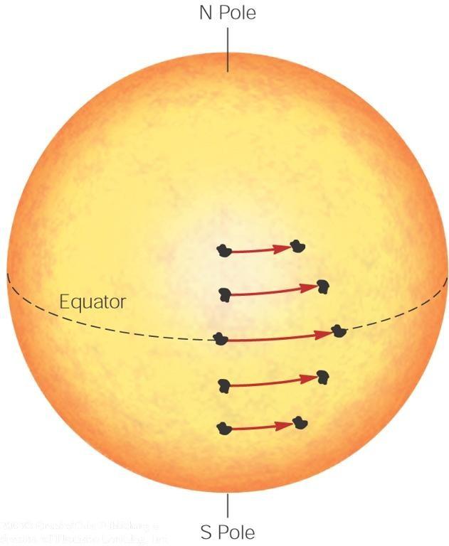 The Sun s Magnetic Dynamo The sun rotates