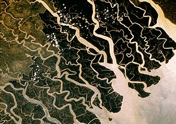 Bangladesh Extensive tidal flats