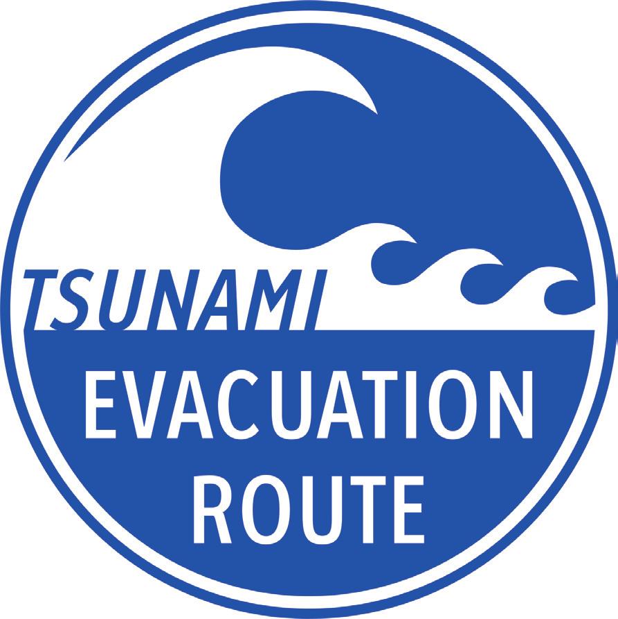 EARTHQUAKE FACTS: WHAT TO EXPECT? What is a Tsunami? Sometimes when a big earthquake happens near the coast, huge waves of water can be pushed high up on the land.