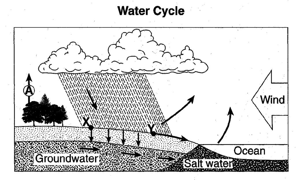 Base your answers to questions 14 and 15 on the diagram of the water cycle below. Letter A represents a process in the water cycle. Points X and Y represent locations on Earth's surface. 14. The process represented by A is A) precipitation B) transpiration C) condensation D) saturation 15.