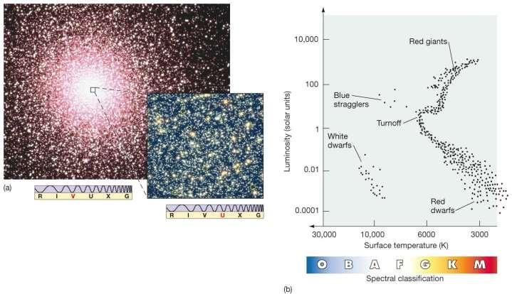 20.5 Observing Stellar Evolution in Star Clusters This globular cluster, 47