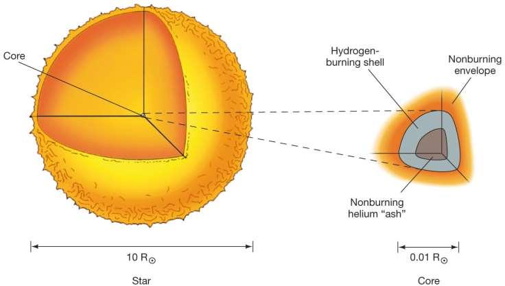20.2 Evolution of a Sun-Like Star As the fuel in the core is used up, the core contracts;
