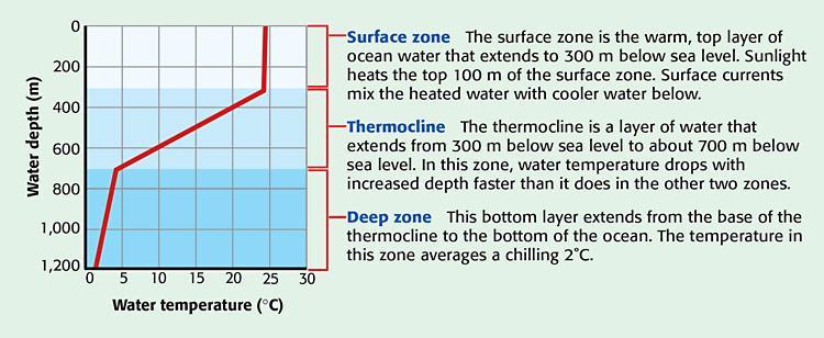Marine Biomes Water temperature Decreases as the depth of the water