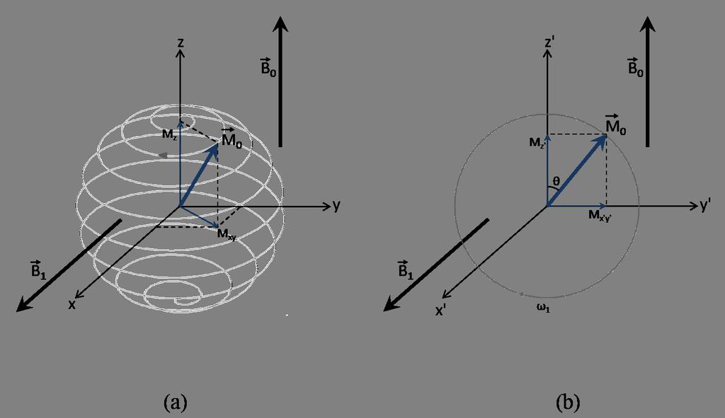 Figure 2.4: a) Motion of M 0 while RF pulse is applied and b) as viewed in a rotating frame of reference (x and y form a plane rotating at ω 0 ).