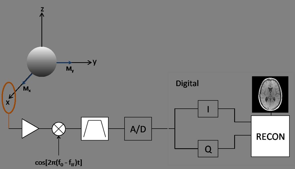 Figure 2.10: Simplified receiver chain: coil, amplifier, downmixer, bandpass filter, analogto-digital converter, digital processor.