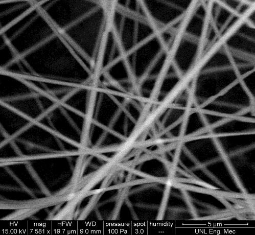 Multiple samples were collected using the optimized parameters, and the nanofibers were observed using