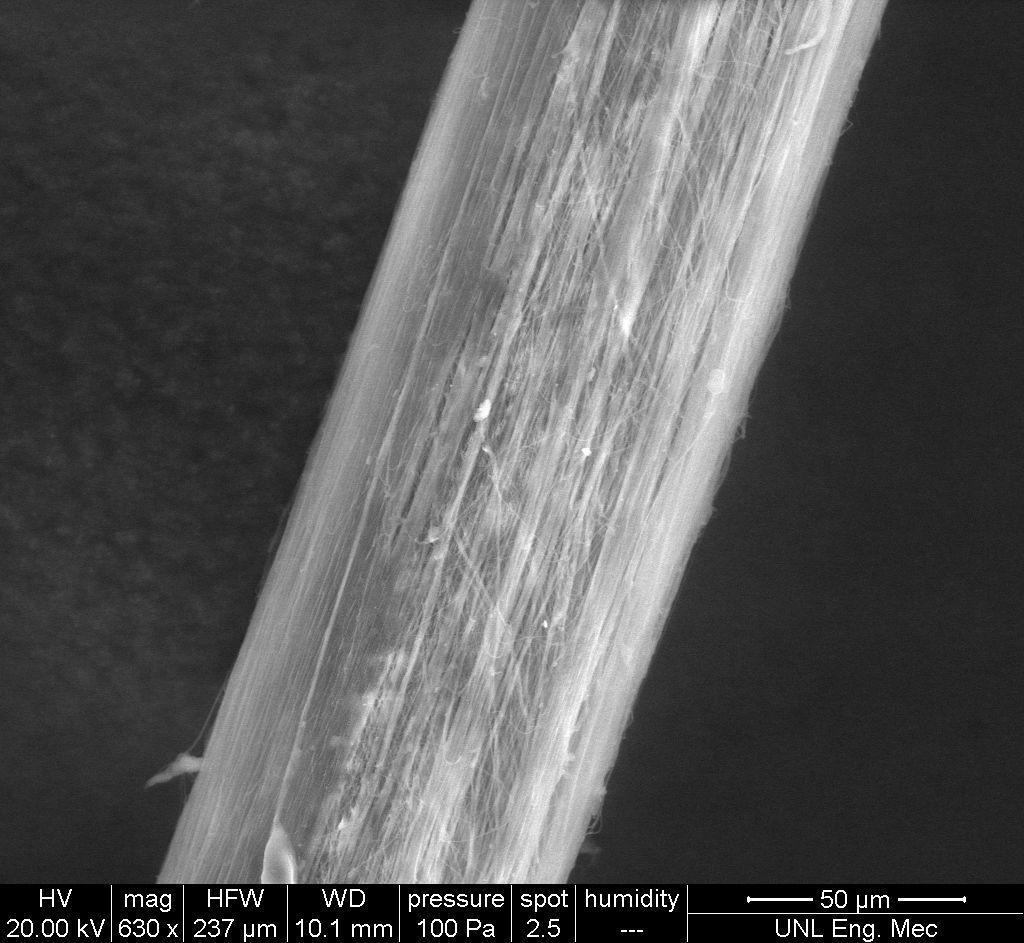 124 SEM images of a yarn collected using single-jet electrospinning are shown in Figures 7.4 7.6.