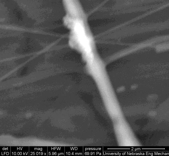 SEM Images: Hybrid Deposition on Non-Conductive Substrate 7.2.