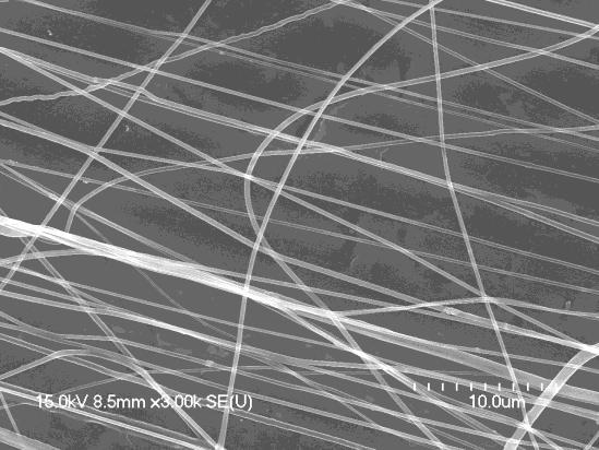 Attention was directed toward the fiber diameters, the structure of the fibers, and the presence of bulk fluid in the deposition. SEM images of collected PEO nanofibers are shown in Figures 3.3 and 3.