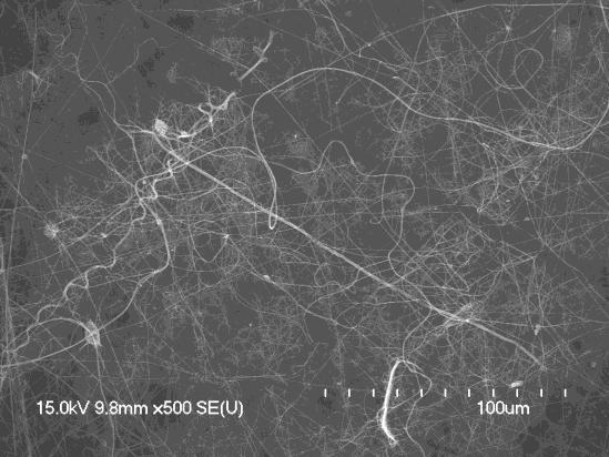 6 SEM Images: PEO Solution Feed Rate of 30 milliliters per hour Nanofibers