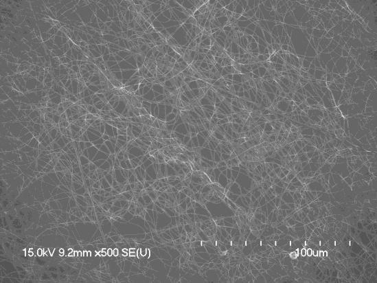 49 Nanofibers collected with a head rotational speed of 1500 rotations per minute