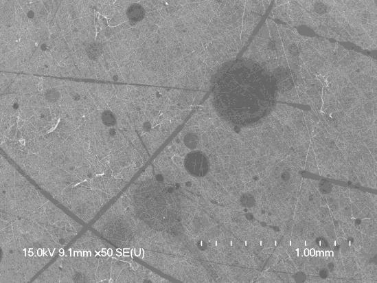 50 Nanofibers collected with a head rotational speed of 2500 rotations per minute exhibited diameters ranging from 200 to 600 nanometers.