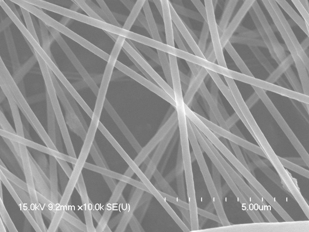 Fiber diameters ranged between 200 and 300 nanometers.