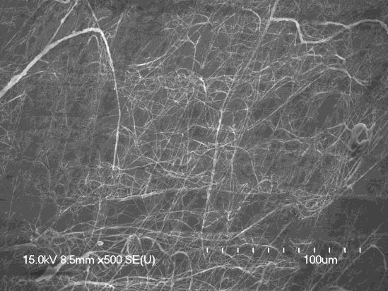 57 Nanofibers collected with an electrospinning voltage of 30 kilovolts were of poor quality. Fiber diameters ranged from 600 nanometers to 1.2 microns.