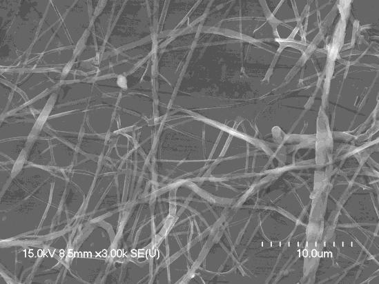 29 shows the range of nanofiber diameters as a function of electrospinning voltage.
