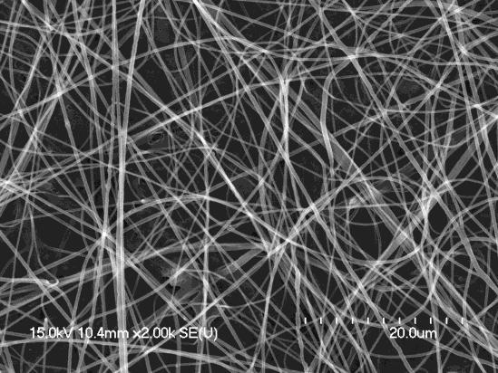 47 show fibers produced using a PEO solution concentration of 15 percent by weight.