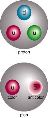 From Why we call Atoms, quarks and to leptons Nucleons, the building blocks to Quarks of nature. Helium The only quarks needed to build up protons and neutrons are u and d.