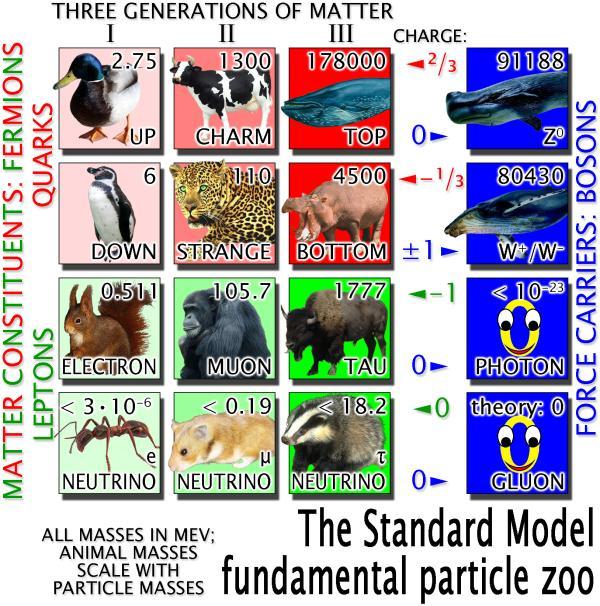 The zoo of quarks, leptons, and force carrying particles A composite model may explain parameters such as particle mass,