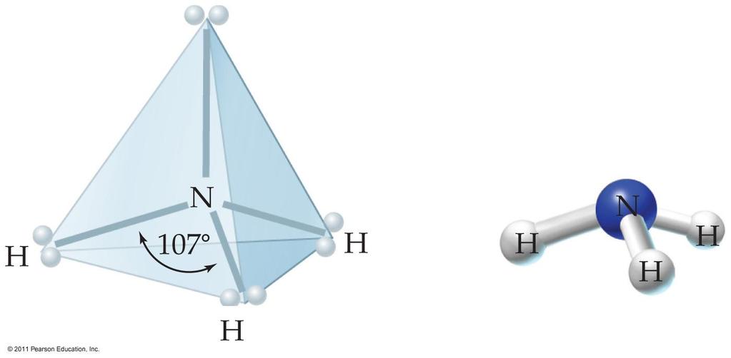 Trigonal Pyramidal Molecules In ammonia, NH 3, the central nitrogen atom is surrounded by three bonding pairs and one nonbonding pair.