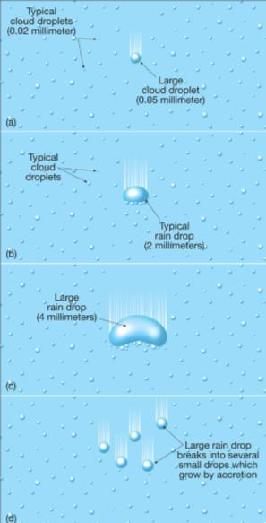 Collision / Coalescence ~ warm cloud process~ Collision/Coalescence: Cloud droplets are in motion within the cloud These droplets randomly collide with other droplets They coalesce (join together)