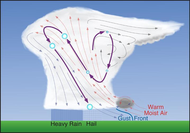 Forms of Precipitation Rain: Drops of water that fall from a cloud Snow: Ice crystals (snow flakes) or clusters of crystals that fall from a cloud Sleet: Frozen raindrops.