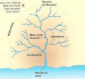 Revisin Ntes fr Rivers What yu need t knw: 1. Hw rivers erde, transprt and depsit. 2. The Upper Curse: Frmatin f a V-shaped valley and a Waterfall 3. The Middle Curse: Frmatin f a Meander 4.
