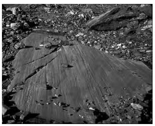 40. The photograph below shows scratched and polished bedrock produced by weathering and erosion. Which agent of erosion most likely carried sediment that scratched and polished this bedrock surface?